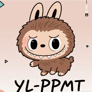 YL-PPMTPPMTWX小程序强制支付破盾辅助辅助脚本