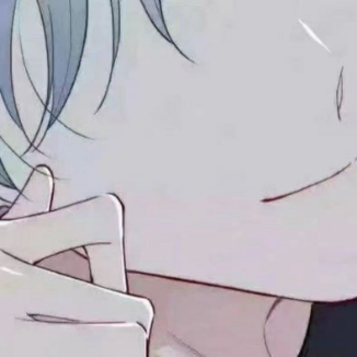 百念PPMT助手
