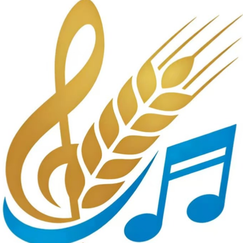 麦麦  演唱会 QP助手